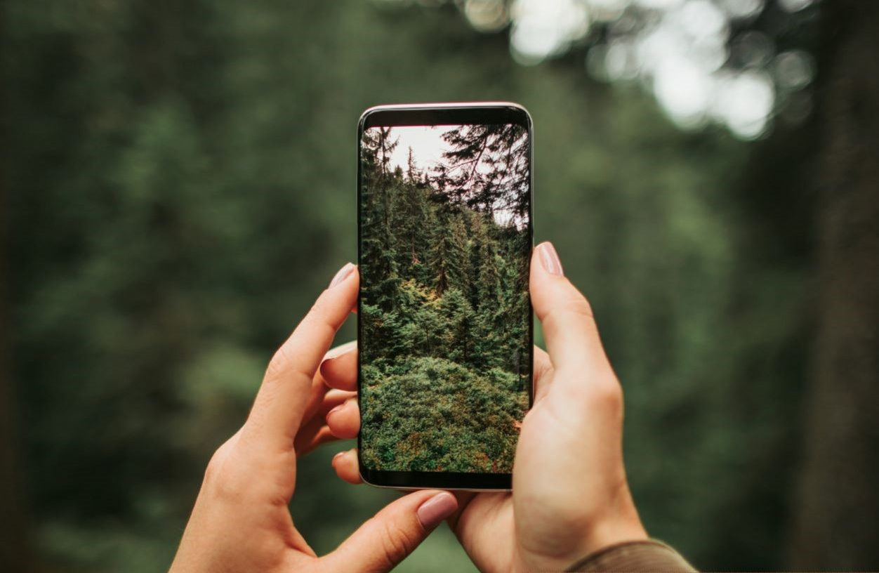 Naturparkplan Arnsberger Wald
