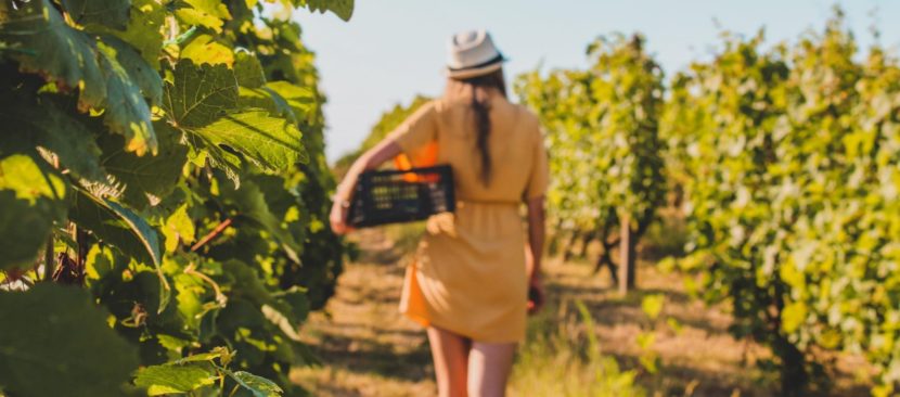 Produktnetzwerk Landtourismus Luxemburg