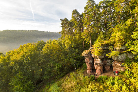 Bildung eines Touristischen Service Centers (TSC) Südwestpfalz