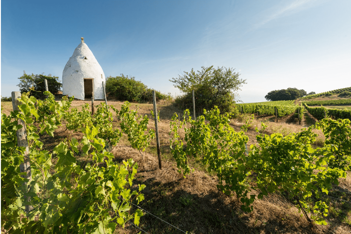 Tourismuskonzept Alzeyer Land & Rheinhessische Schweiz