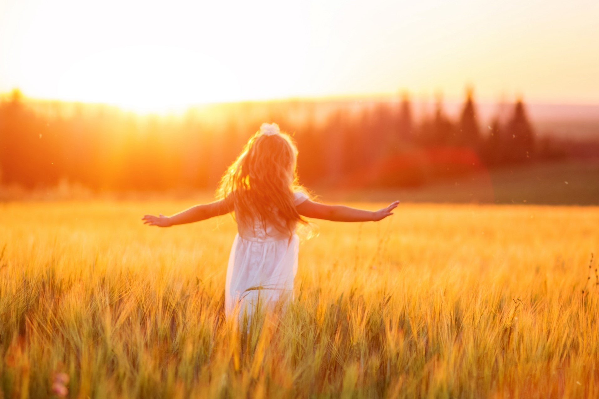 Nachhaltigkeitskonzept im Städtetourismus in Niedersachsen (aboutcities)