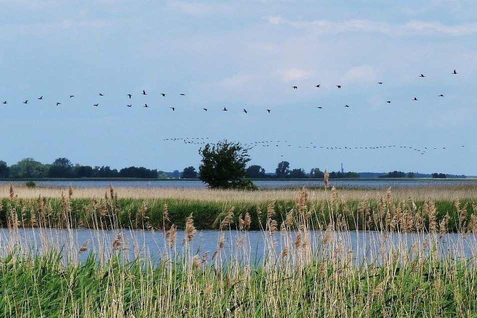 Evaluierung Naturparkpläne Mecklenburg-Vorpommern